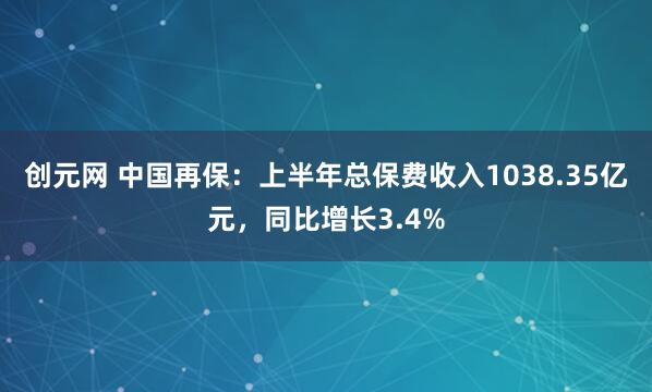 创元网 中国再保：上半年总保费收入1038.35亿元，同比增长3.4%