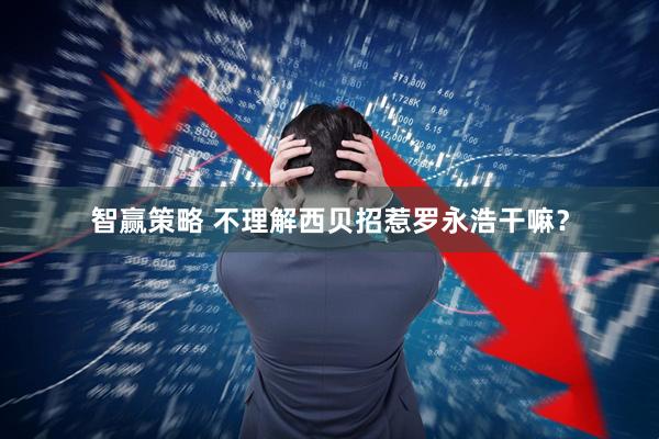 智赢策略 不理解西贝招惹罗永浩干嘛？