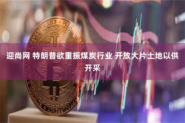 迎尚网 特朗普欲重振煤炭行业 开放大片土地以供开采
