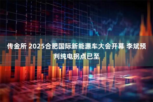 传金所 2025合肥国际新能源车大会开幕 李斌预判纯电拐点已至