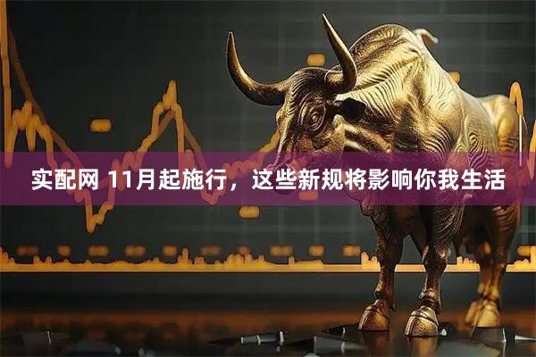 实配网 11月起施行，这些新规将影响你我生活