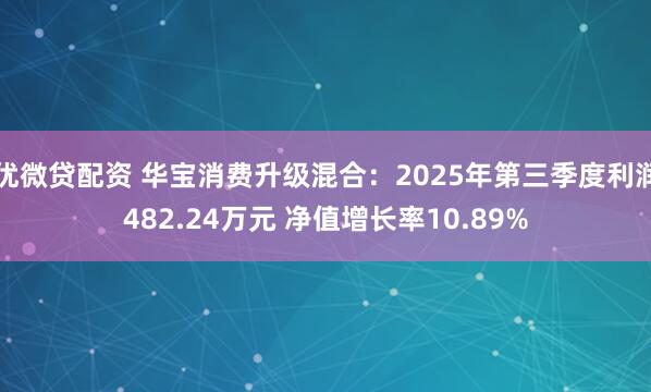 优微贷配资 华宝消费升级混合：2025年第三季度利润482.24万元 净值增长率10.89%