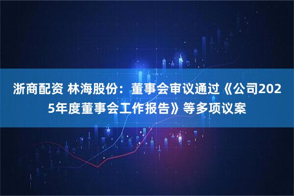 浙商配资 林海股份：董事会审议通过《公司2025年度董事会工作报告》等多项议案